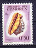 Comores N°19  Neuf  Charniere - Nuovi