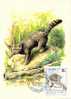 HONGRIE CARTE MAXIMUM NUM.YVERT  3071  FAUNE ANIMAUX SAUVAGES PROTECTION DE LA NATURE - Maximum Cards & Covers