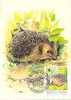 HONGRIE CARTE MAXIMUM NUM.YVERT  3073  FAUNE ANIMAUX SAUVAGES PROTECTION DE LA NATURE - Maximum Cards & Covers