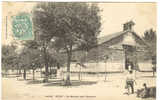 Setif - Marché Arabe - Légumes - Sétif