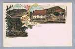 ZH Stallikon Baldern 1902-07-23 Litho C.Künzli #186 - Stallikon