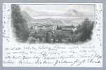 ZH Hausen A.A. Albisbrunn 1904-06-20 Foto "F" - Hausen Am Albis 