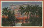 E031, Cuba , Habana , Lago Del Country Club , Lake At Country Club Park , 9A - H2091 , 97 , Non Circulée - Cuba