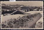 Crans Sur Sierre ; Les Plans Mayens (alt. 1680 M), Vers 1952 ; Chalet Sous La Neige (3927) - Sierre