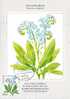 ISLANDE CARTE MAXIMUM NUM YVERT  548  FLEURS  FLORE PROTECTION DE LA NATURE - Maximumkarten