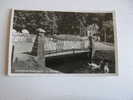ARNHEM  - Zwanenbrug  Sonsbeek Park - Swan - Bridge 1955     D72292 - Arnhem