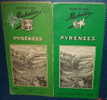 PYRENEES.2 Guides Michelin, 1951,1956,etat Correct - Michelin (guides)