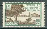 Collection NOUVELLE CALEDONIE ; Colonies ; 1928-38 ; Y&T N° 146 ; Neuf - Zonder Classificatie
