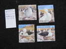 3607 Albatros Antarctique Oiseau Nid Oisillon Colonie Antarctic Malouines Pole Sud South Pole 2003 - Marine Web-footed Birds