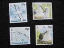 3605 Albatros Antarctique Oiseau Nid Oisillon Colonie Antarctic Volcan île Volcanique  Pole Sud South Pole 2003 - Marine Web-footed Birds