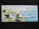 3604 Avocette Albatros Antarctique Oiseau Nid Oisillon Colonie Antarctic Volcan île Volcanique  Pole Sud South Pole 2003 - Albatros & Stormvogels