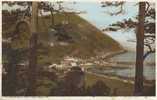 DEVON - LYNMOUTH QUAY FROM COUNTISBURY HILL  Dv548 - Lynmouth & Lynton