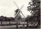 Westmalle Kempische Molen - Malle