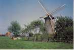 Westmalle  23. Molen - Malle