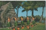 THE DANCERS  TRAINED FROM CHILDOOD  PROGRESS THROUGH BASIC MODER AND ANCIENT HULA BON ETAT - Other & Unclassified