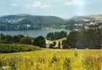 Titisee - Gesamtansicht - Vue Générale - Titisee-Neustadt