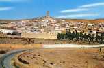 ALGERIE - GHARDAIA - Vue Générale - Ghardaia