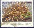 +India 2001. Coral. Michel 1845. Cancelled(o) - Gebruikt