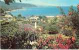 Round Hill, Montego Bay CUNARD LINES * Carte Bon état * - Ed Dp N° D68 - Jamaica