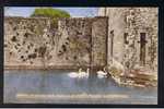 RB 677 -  Early Postcard Swans Ringing For Food At Bishop's Palace Gate Wells Somerset - Bird Theme - Wells