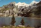 Uferpartie Mit Oeschinensee Bei Kandersteg - Rothorn, Blümlisalp, Oeschihorn, Fründenhorn - Kandersteg