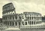 Italy - Italia - Roma - Rome - Il Colosseo - Colosseum - Old Unused Real Photo Postcard [P2738] - Colosseum