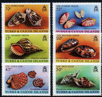 Turks & Caicos 1980 MiNr. 490 - 495 Marine Life SHELLS 6v MNH** 5,50 € - Coneshells