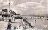 33 CPSM Andernos Les Bains La Jetée Et La Plage Animée - Andernos-les-Bains