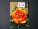 FRANCE  De  1969  "  Floralies Internationales De PARIS - Rose Meilland  "   1  F D C Du  27/06/1969 - Roses