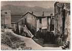 Delcampe - - CALVI (Corse). - - Calvi
