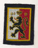 8ème DIVISION - Patches