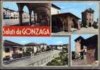 Saluti Da Gonzaga - 21 - Viaggiata - Altri & Non Classificati