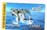 SPAGNA (SPAIN) - BT BRITISH TELECOM (REMOTE) - DOLPHINS  EXP. 12.99 - USED -  RIF. 4236 - Dolphins