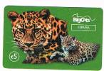 SPAGNA (SPAIN) - CMOS COMMUN.  (REMOTE) - BIG CATS: LEOPARD  - USED  -  RIF. 4241 - Jungle