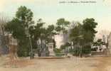 CPA - 30 - ALAIS - Le Bosquet - Monument Pasteur  -  781 - Alès