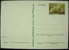 1990 AUSTRIA POSTAL CARD WITH FROG - Frogs