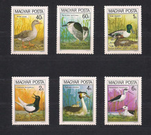 Hongarije Hongrie Ungarn 1980 Yvertnr. 2736-41 *** MNH  Cote 6 € Faune Oiseaux Vogels Birds - Ungebraucht