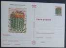 CACTEES - CACTUS / ENTIER POSTAL ILLUSTRE (ref 1209) - Cactussen