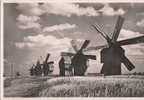 B13397 Romania Moldova Windmills In Bessarabia Not Used Perfect Shape - Moldavia