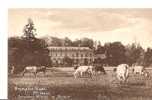 BRYMPTON HOUSE ET SES VACHES EN PATURAGES REF 20516 - Altri & Non Classificati