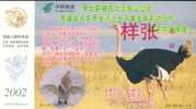 Bird Ostriches    ,   Specimen     Prepaid Card  , Postal Stationery - Ostriches