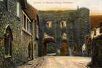 ROYAUME-UNI - CHICHESTER - CPA - N°201-1 - Chichester, Entrance To Bishop's Palace - Chichester