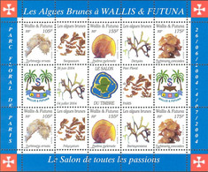 Wallis And Futuna 2004 MiNr. 881 - 883  Marine Life Brown Algae Seaweeds M\sh  9v MNH** 20,00 € - Ongebruikt