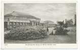 The Temperate House, Or Winter Garden, Kew - Surrey