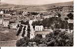 Algérie - Souk Ahras -CPSM Bel état  - - Souk Ahras