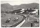 Merano - Corse - Trotto -  Ippodromo - H735 - Reitsport