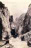 CPA Vista Of The Royal Gorge And Suspension Bridge Colo  Train Sanborn REAL PHOTO - Other & Unclassified