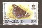 SWAZILAND 1992 - BUTTERFLY 50 - USED OBLITERE GESTEMPELT - Swaziland (1968-...)