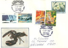 Crabes Portunus  ( Blue Swimmer Crabs) De Port Broughton. Capitale De La Pèche Aux Crabes En  Australie. - Schaaldieren