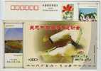 Wushu (Kongfu),China 2005 Wuzhong City Sport Games Advertising Postal Stationery Card - Unclassified